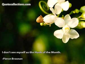 pierce_brosnan_quotes Quotes 2